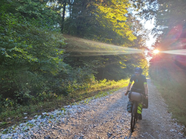 Person mit Gravelbike und Radtaschen fährt über Schotterweg durch den Wald
