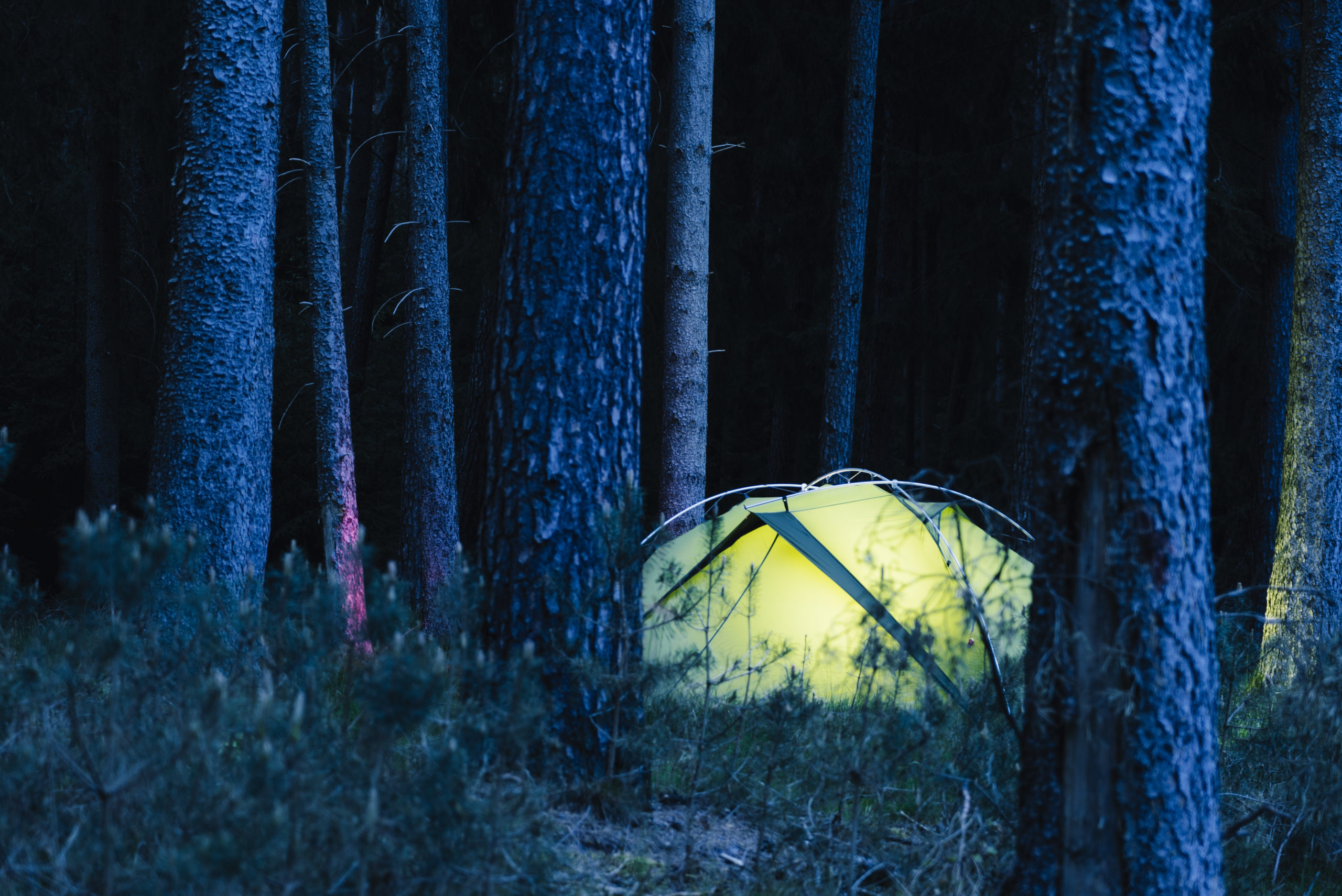 Beleuchtetes Zelt im dunklen Wald