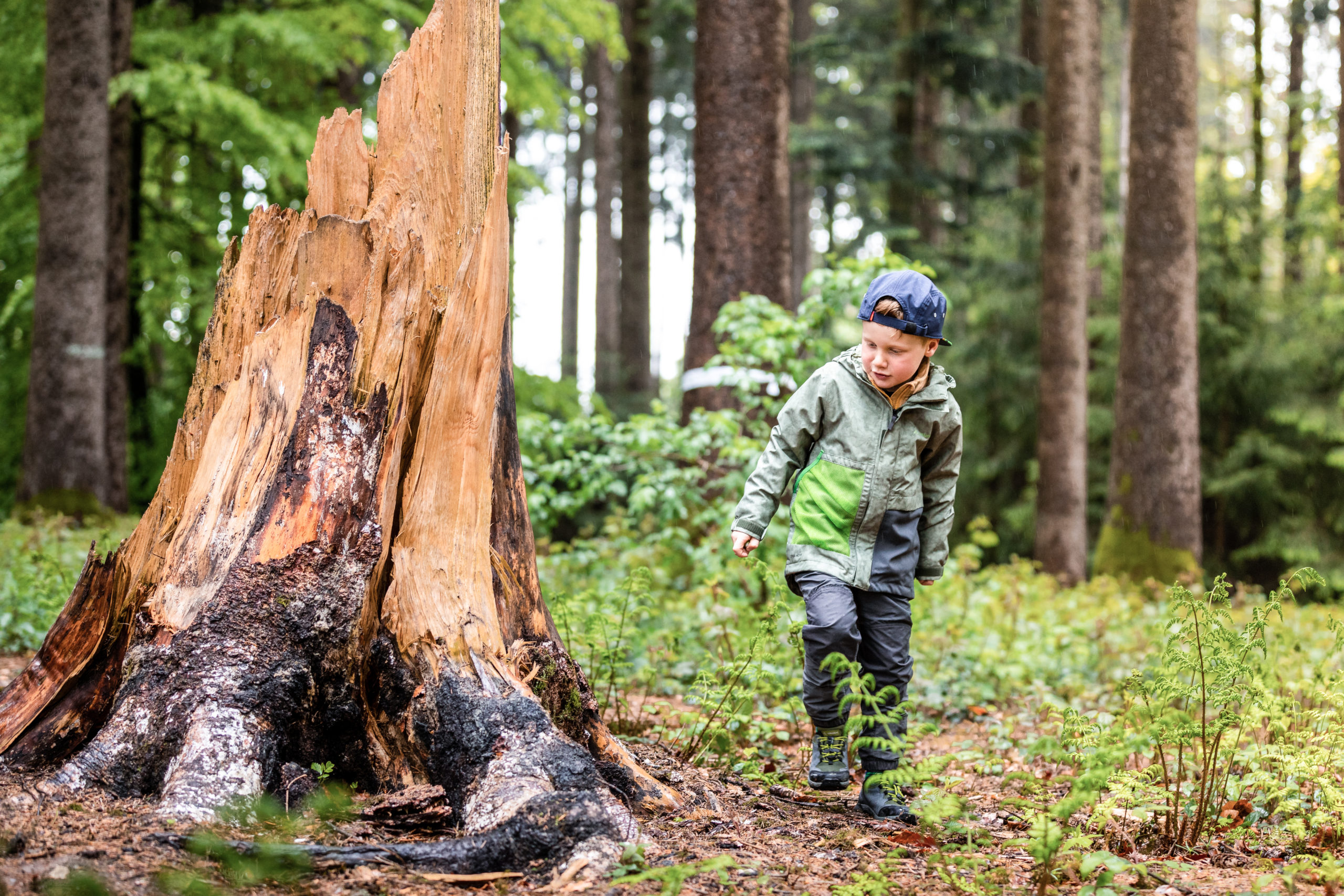 Kind neben einem abgebrochenem Baumstumpf im Wald