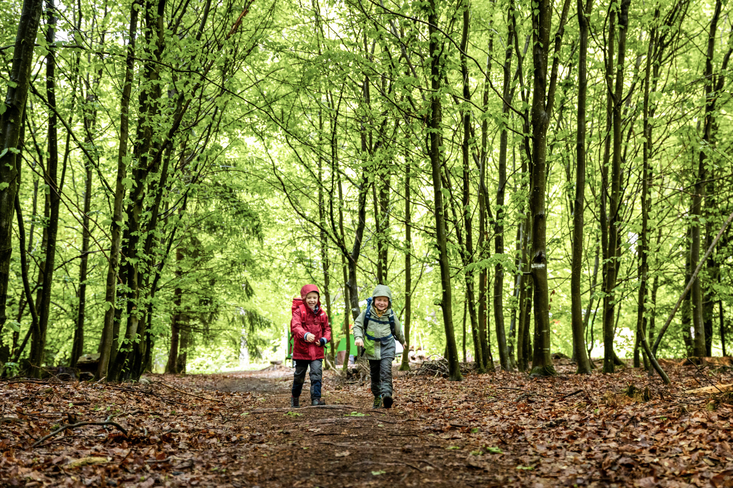 Zwei Kinder rennen durch den Frühlingswald