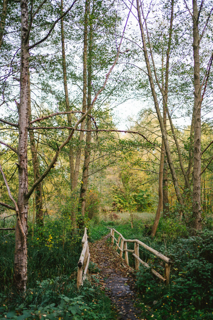 Eine kleine Holzbrücke im Wald