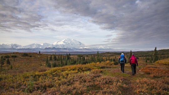 Wandern und Trekking in Alaska