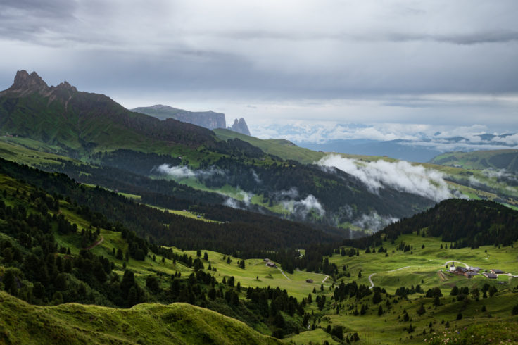 grüne Wiesen in den Südtiroler Bergen
